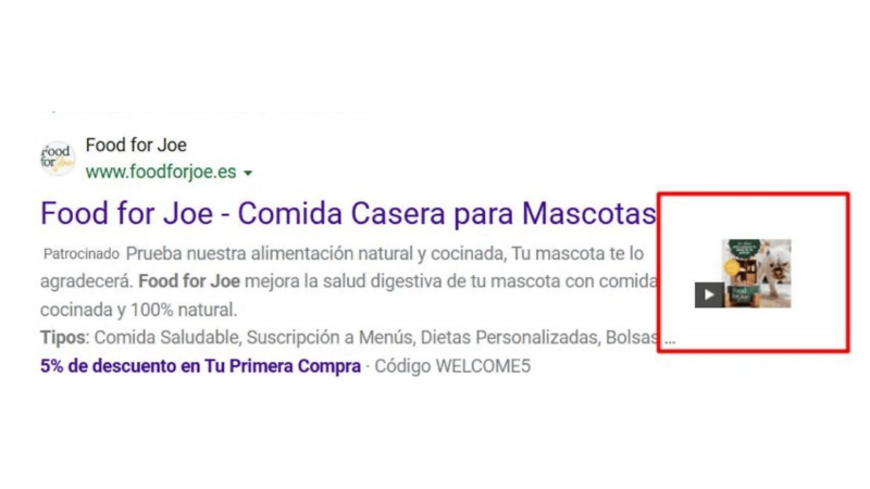 A screenshot of a Google advertisement for "Food for Joe," a home-cooked pet food service. The ad mentions discounts and subscription options. On the right, there is a small preview image with a play button, implying a video link.