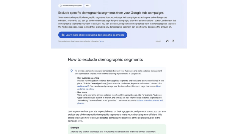 Screenshot of a Google Ads support page featuring the title "Exclude specific demographic segments from your Google Ads campaigns." A refreshed design showcases a "How to exclude demographic segments" section with bullet points and an example in a light green box.