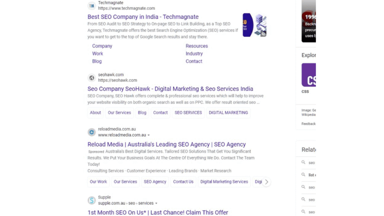 Screenshot of Google search results for "Best SEO Company in India," featuring listings with favicons for Techmagnate, Seahawk, and Reload Media, along with brief descriptions, website links, and navigation options beneath each result.