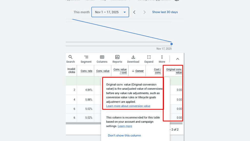 A screenshot of a Google Ads report displays conversion data, with the “Original Conversion Value” metric highlighted and a tooltip explaining it shows unadjusted conversion values before any adjustments.