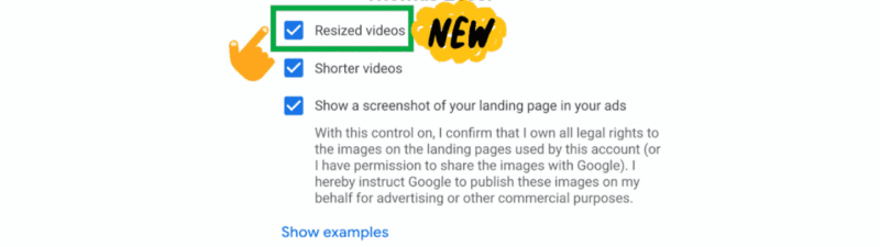 A screenshot of a Google Ads interface shows the “Resized Videos Opt-in (For Demand Gen)” Creative Opt-in feature in beta. A checkbox for “Resized videos” is ticked, highlighted with a green box and a “NEW” label.