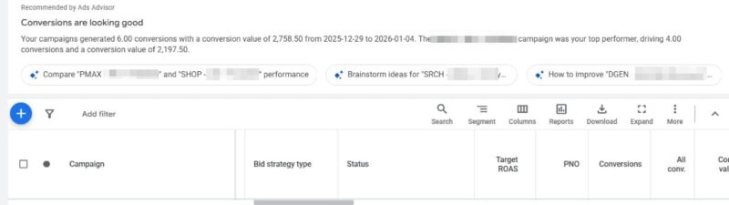 A Google Ads Advisor dashboard displays a Conversion Summary with a line graph of campaign conversions from January 1–31, 2025. Several peaks are shown, with text above noting “Conversions are looking good,” and campaign details listed below the graphs.