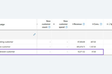 A campaign performance table, focused on Microsoft Ads, displays "Existing customer," "New customer," and "Unknown customer" segments. The highlighted "Unknown customer" row reports revenue of 10,371.52 and a spend of 47.00.