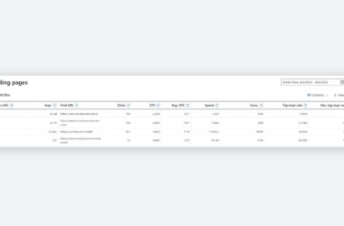 A screenshot of a table titled "Landing pages," showcasing Landing Page Reporting for PMAX campaigns, with columns for destination URL, impressions, first visit URL, clicks, CTR, average CPC, spend, conversions, and conversion rate.