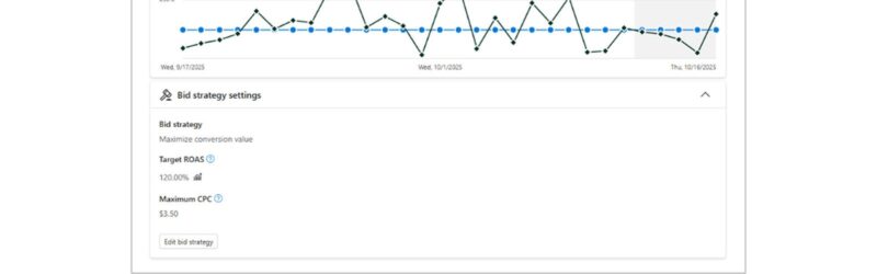 Screenshot of Google Ads bid strategy report showing maximize conversion value performance metrics including 120% average target ROAS, 133.06% ROAS, $60,928.86 revenue, and 316 conversions with a line graph tracking performance trends from September to October 2025.