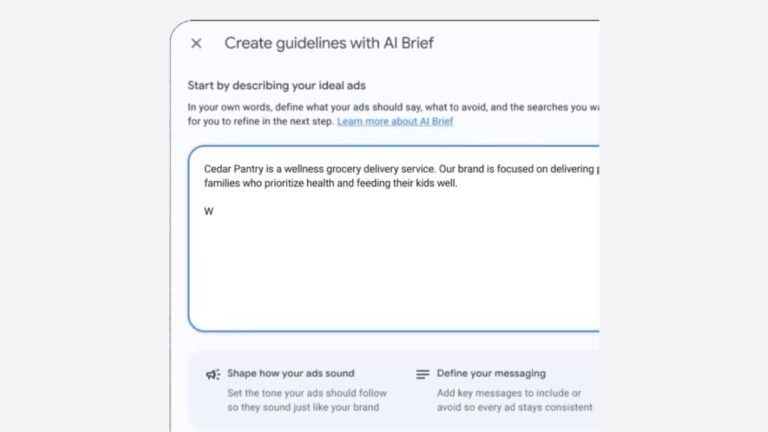 Screenshot of a form titled "Create guidelines with AI Brief." The user is entering a description for Cedar Pantry, a wellness grocery delivery service, in a text box powered by AI Max. Instructions and options appear below the text box.