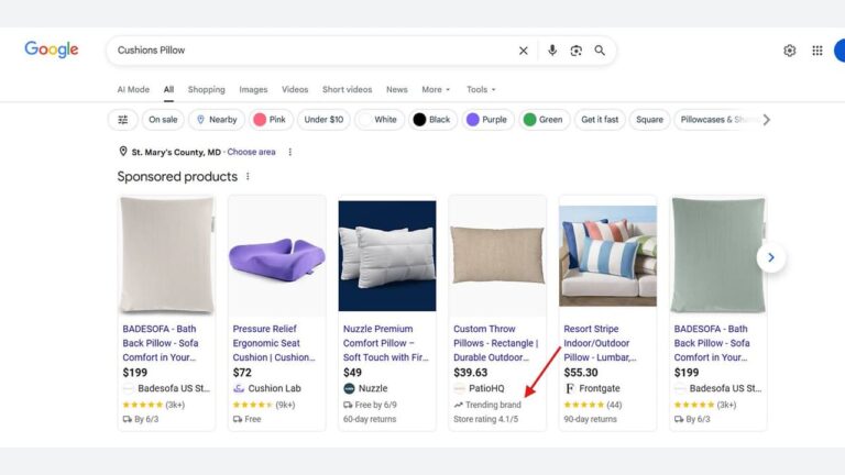 Screenshot of a Google search for "Cushions Pillow" showing various pillow products, their images, prices, ratings, and sellers in a horizontal scrolling format at the top of the results page.