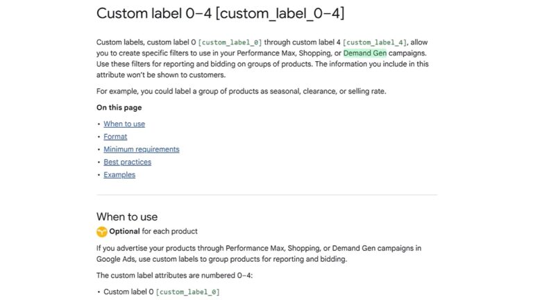 Screenshot of Google Ads documentation page explaining custom labels 0-4 feature for filtering and bidding in Performance Max, Shopping, and Demand Gen campaigns