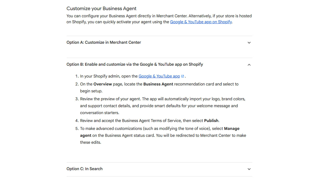 Business Agent Can Now Be Enabled From Shopify