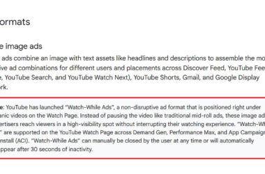 Screenshot of documentation describing YouTube's single image ads format and Watch-While Ads feature, a non-disruptive ad placement positioned below organic videos on the YouTube Watch Page.