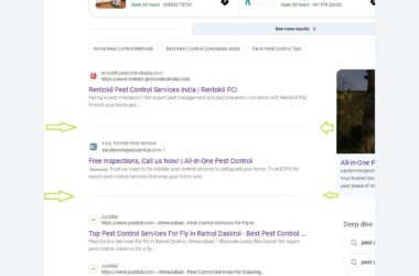 A screenshot of search results for pest control services, showing listings for Rentokil, Eary Termite Pest Service, and Justdial.