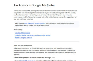 Google Ask Advisor Can Pause Campaigns, Change Budgets and Appeal Ads