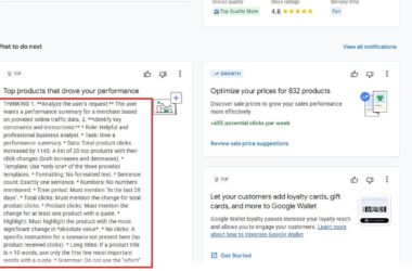Screenshot of a Google Analytics dashboard, highlighting a section titled “Top products that drove your performance” with detailed bullet points and text inside a red box.