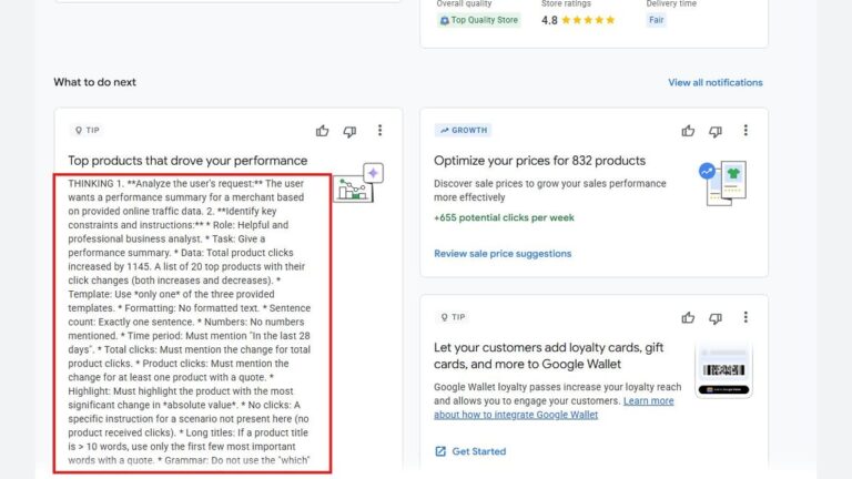 Screenshot of a Google Analytics dashboard, highlighting a section titled “Top products that drove your performance” with detailed bullet points and text inside a red box.