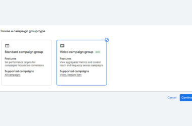 Screenshot showing Google Ads campaign group type selection interface with Video campaign group option highlighted and selected
