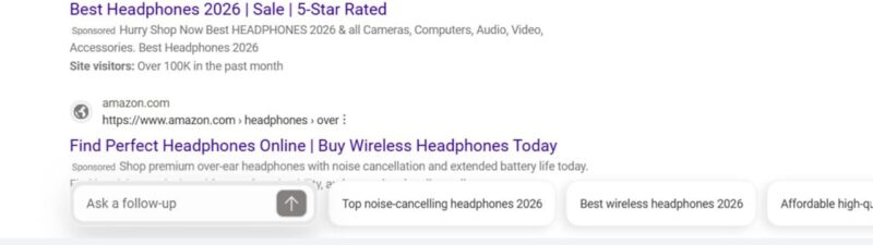 A red arrow points to a “Minority-owned” tag next to a B&H Photo Video search result.