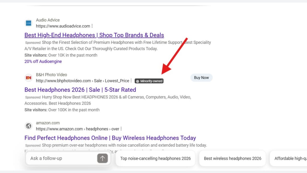 A red arrow points to a “Minority-owned” tag next to a B&H Photo Video search result.