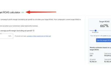 Screenshot of Google Ads Target ROAS calculator showing 667% target ROAS calculation based on 15% profit margin input, with weekly performance estimates displaying 210 clicks, ₹19,899.34 revenue, ₹2,983.41 ad spend, and ₹2,983.41 total profit.