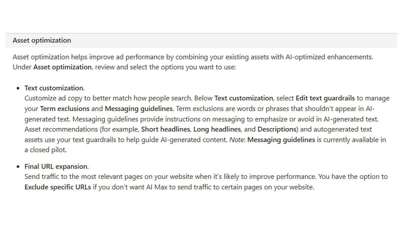 Screenshot of Microsoft AI Max documentation describing term exclusions, Messaging guidelines and closed-pilot availability.