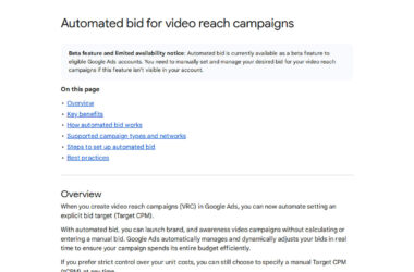 Video Reach Campaigns Get Automated Bidding in Beta
