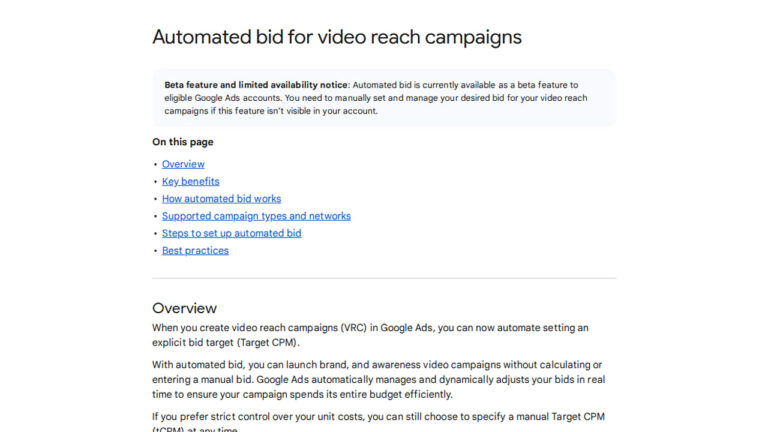 Video Reach Campaigns Get Automated Bidding in Beta