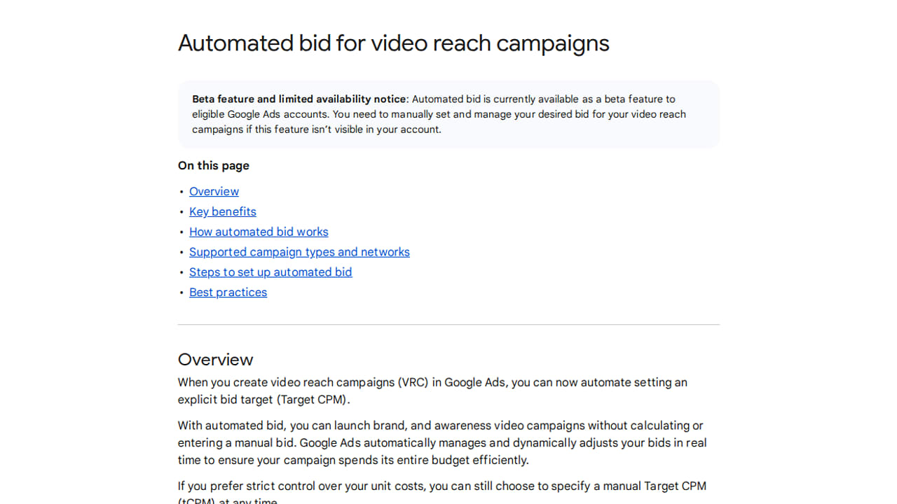 Video Reach Campaigns Get Automated Bidding in Beta